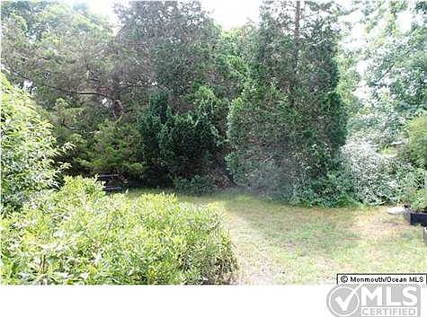4th image of 656 Jamaica Blvd