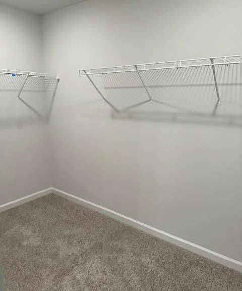 Primary walk-in closet