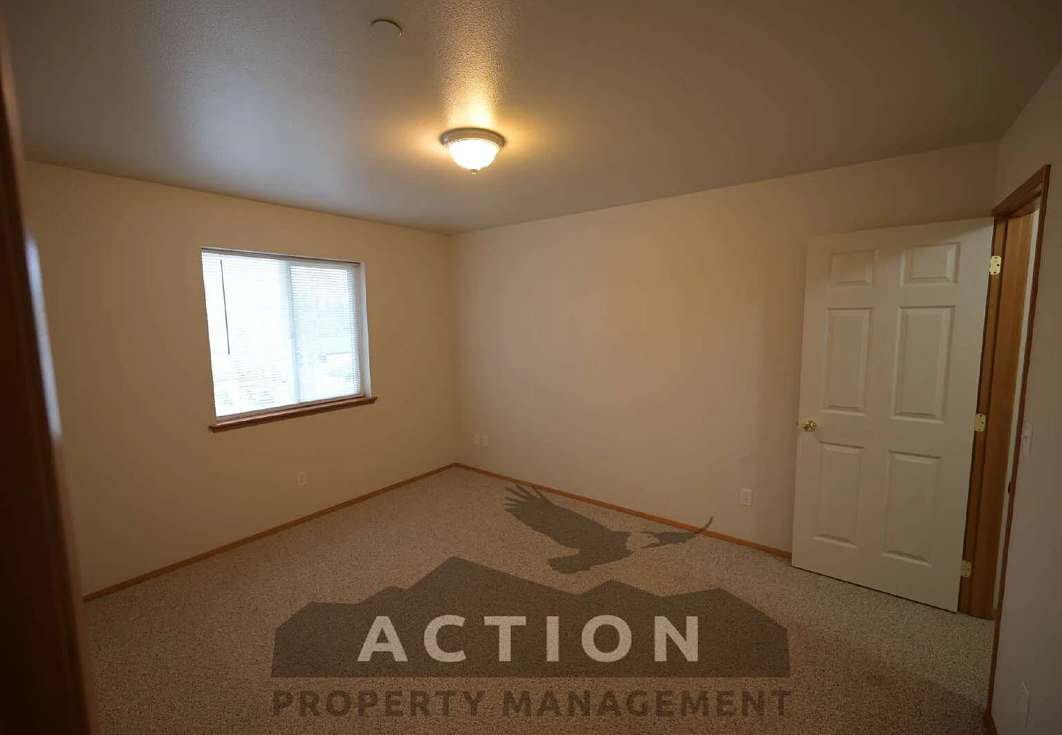 2 bed, 1.0 bath, 929 sqft, $1,700 — Photo 3