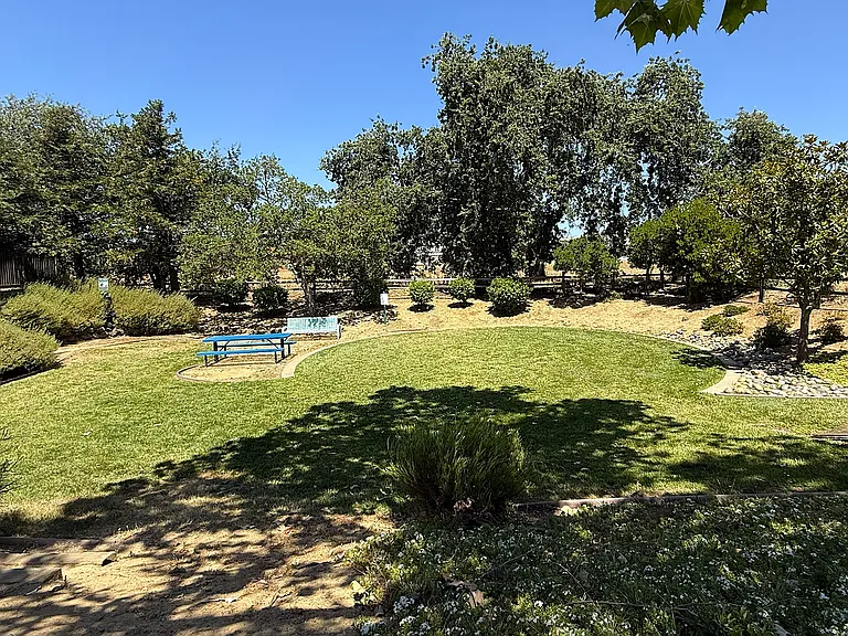 Community Park
