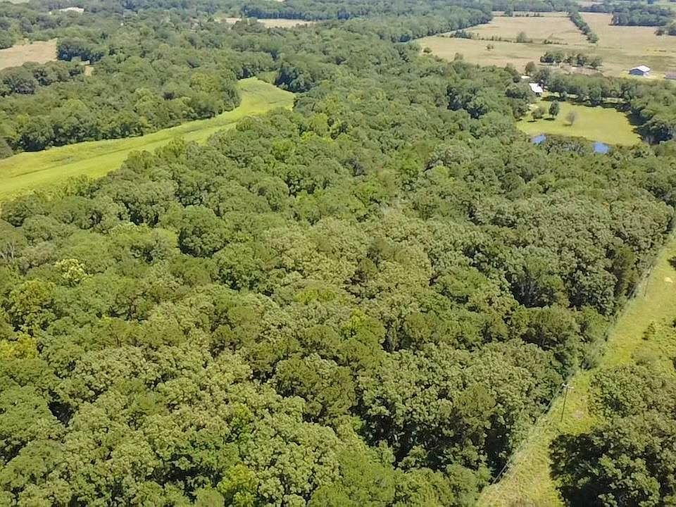 1st image of Polk Rd #87