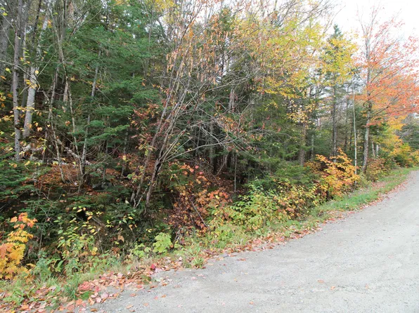 Lot 38 Edelheid Road, Sandy River Plt, ME 04970