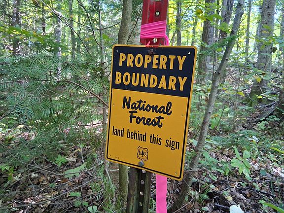 2nd image of 12 National Trail Star Lake Rd