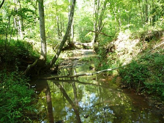 Creek on Property
