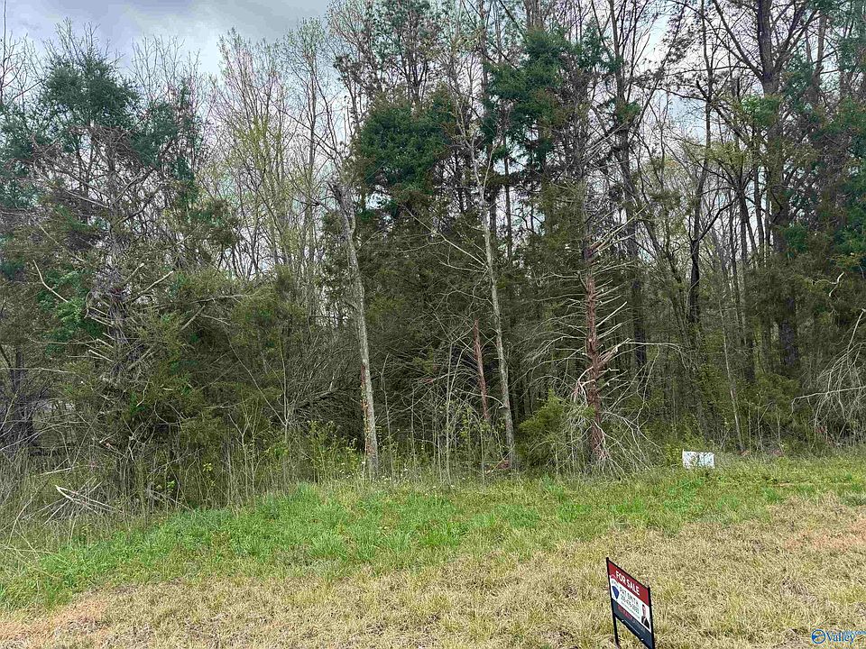 2nd image of State Highway 36