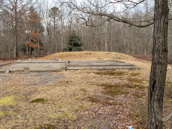 37 Kickapoo Trl, Albrightsville, PA 18210