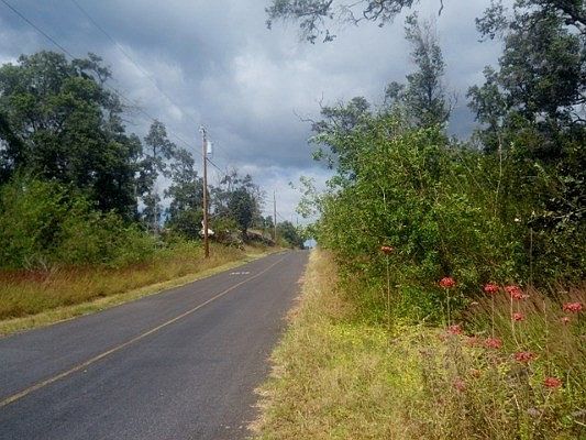 3rd image of Orchid Pkwy Lot 21