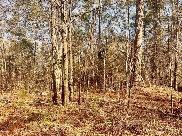 3917 KITCHENS Drive, Hephzibah, GA 30815