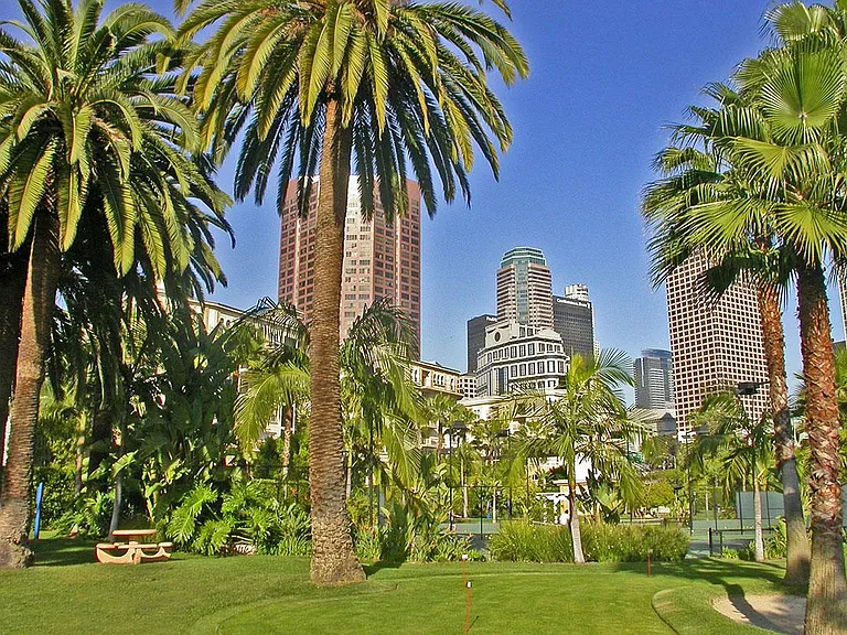 MATURE LANDSCAPING