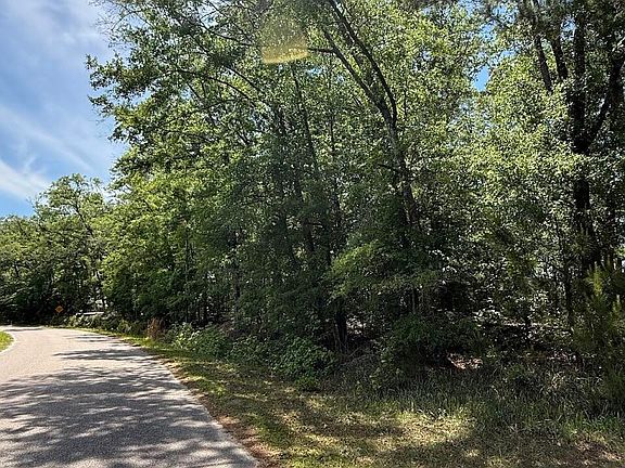 2nd image of 0 Moffett Rd