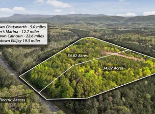 2 S Way #411, Chatsworth, GA 30705