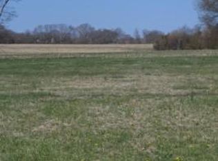 0 McMinnville Hwy, Smithville, TN 37166