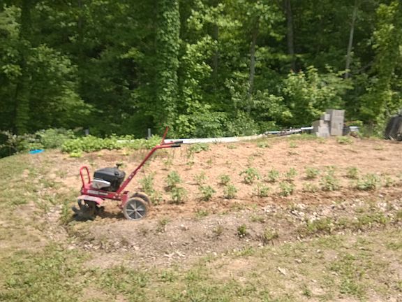 Garden area