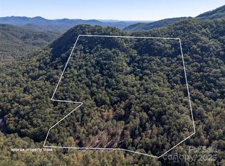 3298 Buffalo Creek Rd, Lake Lure, NC 28746