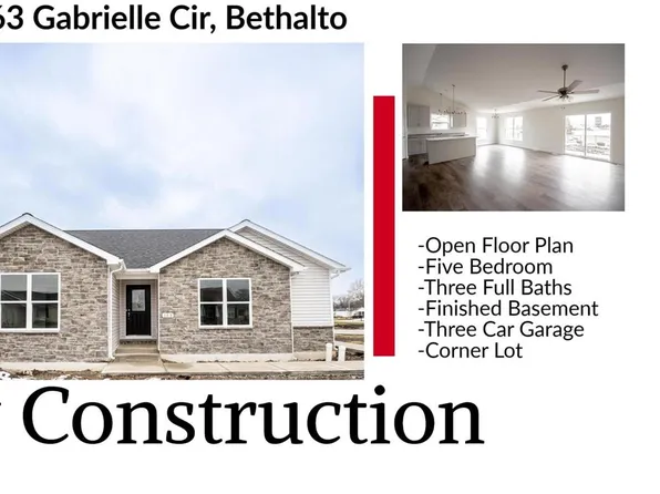163 Gabrielle Cir, Bethalto, IL 62010