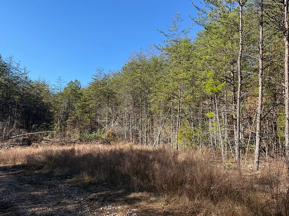The south area along the roadway as you enter the property
