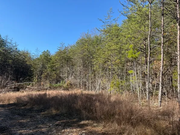 Wild Dog Crk Lot Wp 17 & 18, Tyner, KY 40486