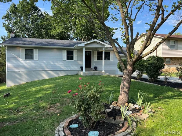 502 Donaldson St, De Soto, MO 63020