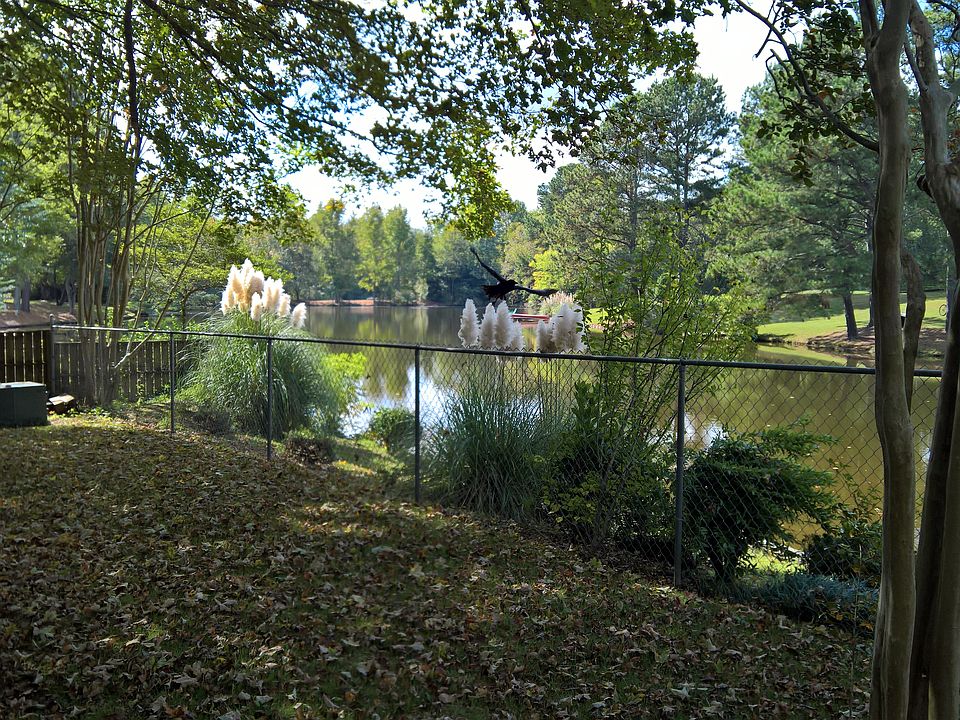 Fenced in back yard and lake