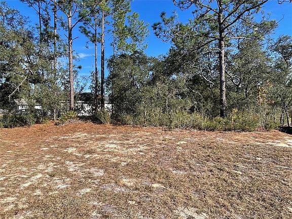 4th image of 11475 N Kenney Loop Lot 3