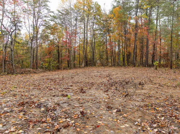 Bill Martin Rd, Afton, TN 37616