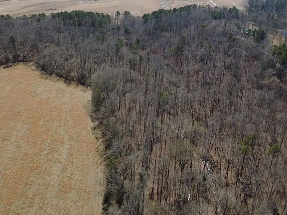 5th image of Polk Rd #125