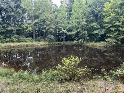 State Route 325, Langsville, OH, 45741