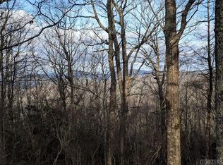 LOT 46 Falcon Ridge Rd, Sapphire, NC 28774