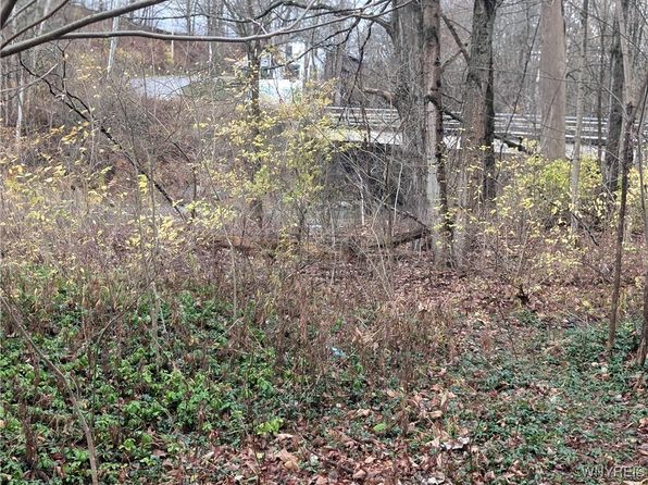 3831 Creek Rd, Chaffee, NY 14030