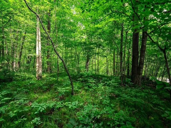 13.33 acres Oak Ridge Road, Conrath, WI 54731