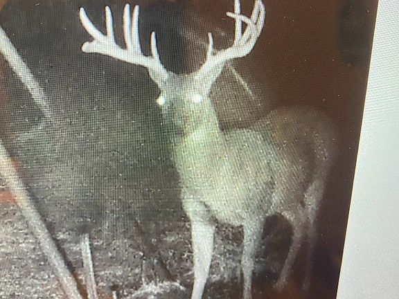 5th image of W County Road 3647 Rd