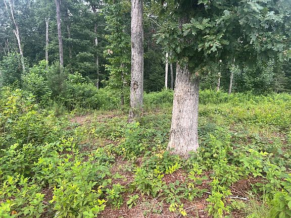 3rd image of LOT 9 Mystic Ct