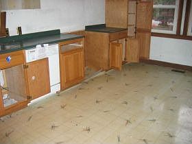 4th image of 5307 Woodridge Dr