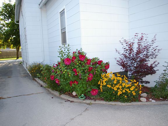 flower bed