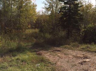 Tbd M35, Perkins, MI 49872