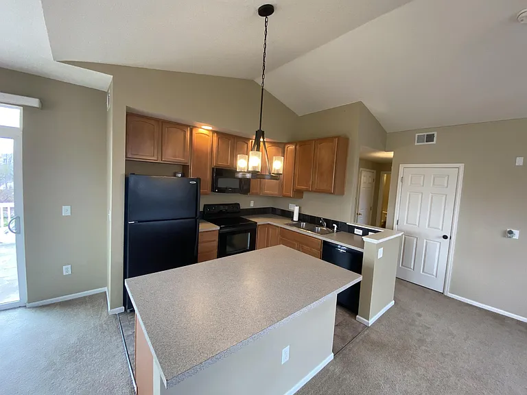 2115 Grays Peak Dr #203-1 — Photo 6