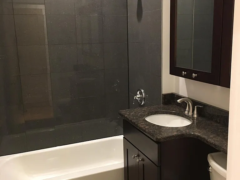 all new modern granite bath and cabinets