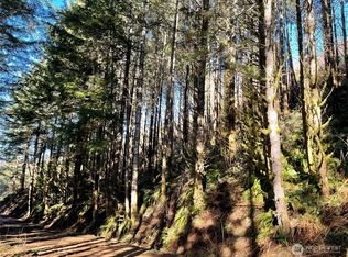 400 Xx Short Rd, Morton, WA 98356