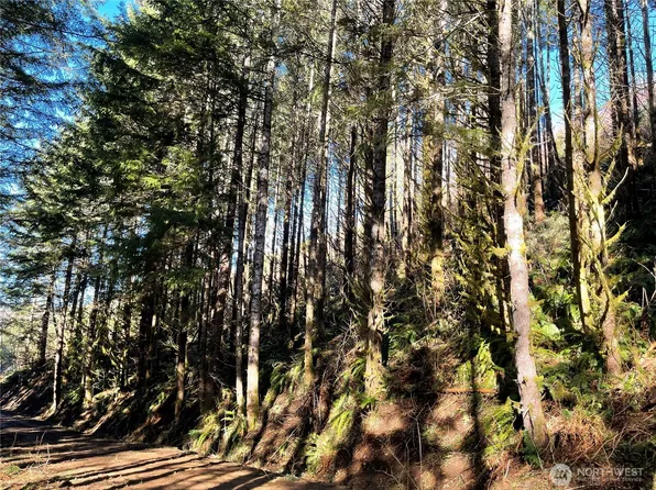 400 XX Short Road, Morton, WA 98356