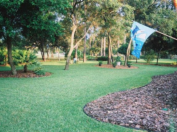 Backyard - N to S