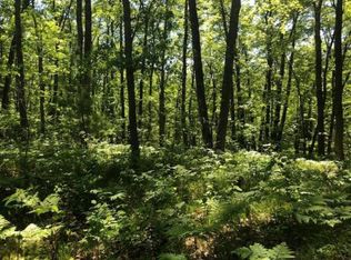 Stronach Dam Rd, Wellston, MI 49689