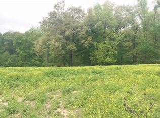 24463 County Road 317, Bloomfield, MO 63825