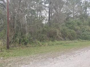 11045 Atlee St, New Port Richey, FL 34654