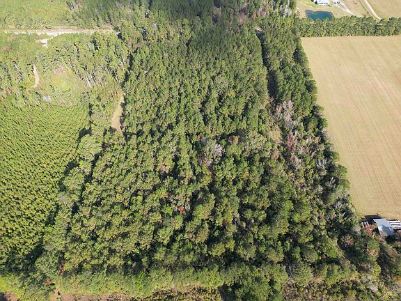 2nd image of 0 Old Honey Island Rd