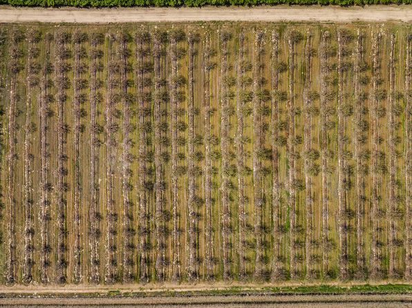 11387 E Saginaw Avenue, Selma, CA 93662