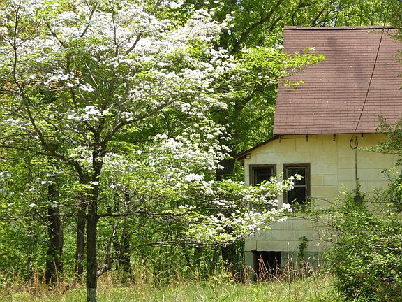 4th image of 20 Woods Ln