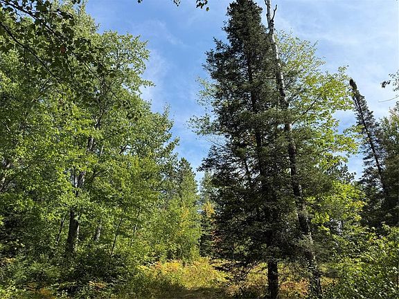 2nd image of Lot 38 & 39 Stone Pine Drive