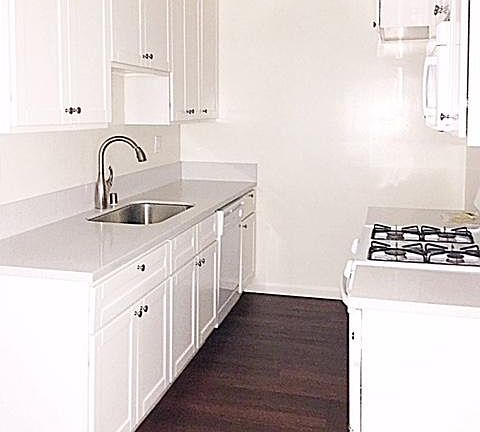 Kitchen with Quartz counter tops, microwave, dishwasher, sto