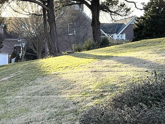 3rd image of 85 McKinley Pointe Ln
