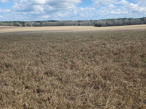 5th image of N Fork Rd